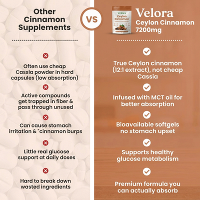 Velora Ceylon Cinnamon 7200mg Equivalent with MCT Oil